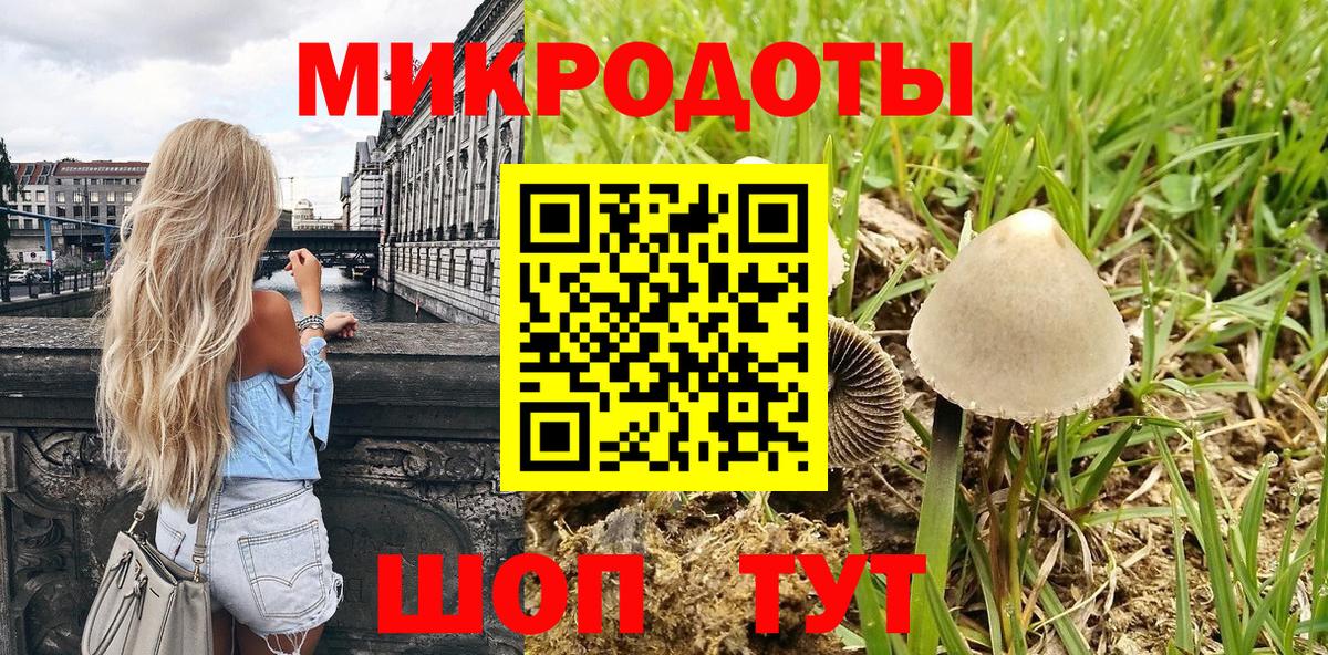 Псилоцибиновые грибы Cubensis Лениногорск