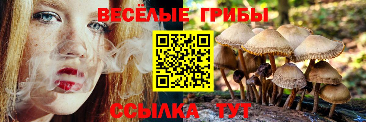 где можно купить   Галлюциногенные грибы GOLDEN TEACHER  Лениногорск  Вход с VPN  Галлюциногенные грибы мицелий 